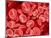 Human Red blood cells-Micro Discovery-Mounted Photographic Print