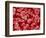 Human Red blood cells-Micro Discovery-Framed Photographic Print