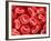 Human Red blood cells-Micro Discovery-Framed Photographic Print