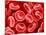 Human Red blood cells-Micro Discovery-Mounted Photographic Print