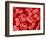 Human Red blood cells-Micro Discovery-Framed Photographic Print