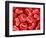 Human Red blood cells-Micro Discovery-Framed Photographic Print