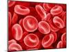 Human Red blood cells-Micro Discovery-Mounted Photographic Print