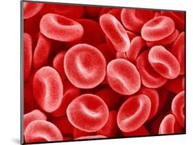 Human Red blood cells-Micro Discovery-Mounted Photographic Print