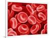 Human Red blood cells-Micro Discovery-Framed Photographic Print