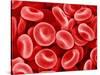 Human Red blood cells-Micro Discovery-Stretched Canvas