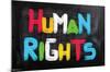 Human Rights-Trends International-Mounted Poster