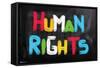 Human Rights-Trends International-Framed Stretched Canvas
