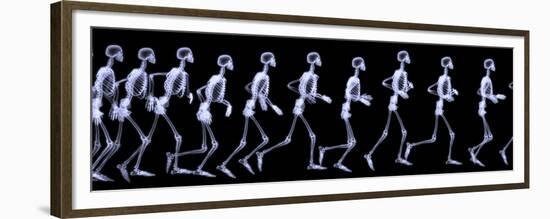 Human Skelegon Running, Radigraphy Sequence-riccardocova-Framed Premium Giclee Print