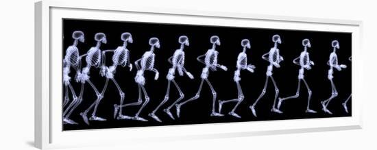 Human Skelegon Running, Radigraphy Sequence-riccardocova-Framed Premium Giclee Print