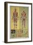 Human Skeletal System and Muscles-null-Framed Art Print