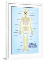 Human Skeleton Anatomy Anatomical Ch-null-Framed Art Print