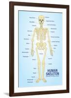 Human Skeleton Anatomy Anatomical Ch-null-Framed Art Print