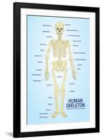 Human Skeleton Anatomy Anatomical Ch-null-Framed Art Print