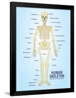 Human Skeleton Anatomy Anatomical Chart Poster Print-null-Framed Poster