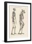 Human Skeleton Compared with That of a Gorilla-null-Framed Photographic Print