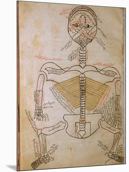 Human Skeleton from Mansur's Anatomy by 15th C. Persian Mansur Ibn Ilyas-null-Mounted Art Print