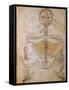 Human Skeleton from Mansur's Anatomy by 15th C. Persian Mansur Ibn Ilyas-null-Framed Stretched Canvas