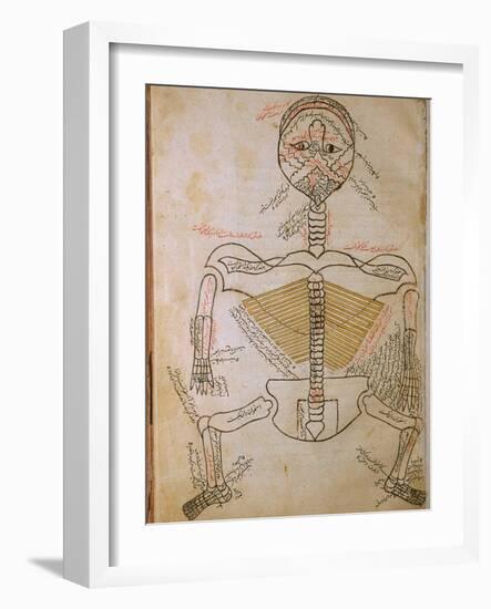 Human Skeleton from Mansur's Anatomy by 15th C. Persian Mansur Ibn Ilyas-null-Framed Art Print