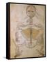 Human Skeleton from Mansur's Anatomy by 15th C. Persian Mansur Ibn Ilyas-null-Framed Stretched Canvas
