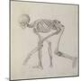 Human Skeleton: Lateral View in Crouching Posture-George Stubbs-Mounted Giclee Print