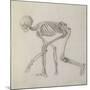 Human Skeleton: Lateral View in Crouching Posture-George Stubbs-Mounted Giclee Print