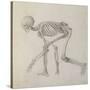 Human Skeleton: Lateral View in Crouching Posture-George Stubbs-Stretched Canvas