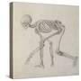 Human Skeleton: Lateral View in Crouching Posture-George Stubbs-Stretched Canvas