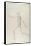 Human Skeleton, Lateral View Seen from the Left, Running, Illustration from 'A Comparative…-George Stubbs-Framed Stretched Canvas