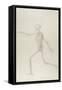 Human Skeleton, Lateral View Seen from the Left, Running, Illustration from 'A Comparative…-George Stubbs-Framed Stretched Canvas