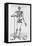 Human Skeleton (Print)-Andreas Vesalius-Framed Stretched Canvas