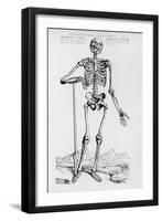 Human Skeleton (Print)-Andreas Vesalius-Framed Giclee Print