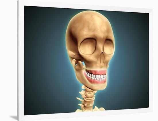 Human Skeleton Showing Teeth and Gums-null-Framed Art Print