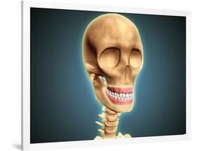 Human Skeleton Showing Teeth and Gums-null-Framed Art Print