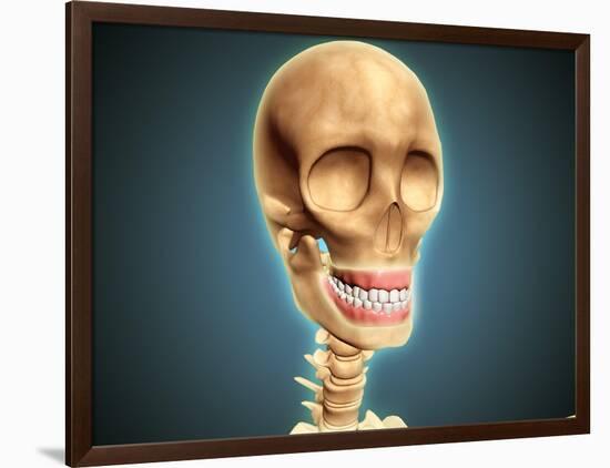 Human Skeleton Showing Teeth and Gums-null-Framed Art Print