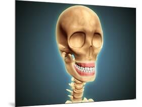 Human Skeleton Showing Teeth and Gums-null-Mounted Art Print