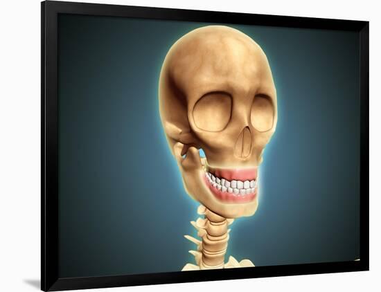 Human Skeleton Showing Teeth and Gums-null-Framed Art Print