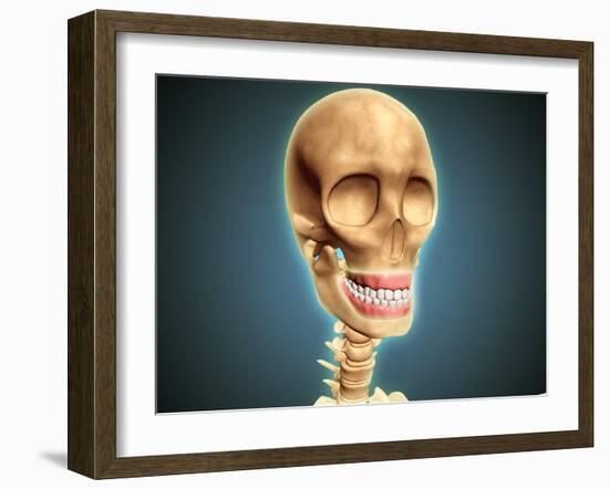 Human Skeleton Showing Teeth and Gums-null-Framed Art Print