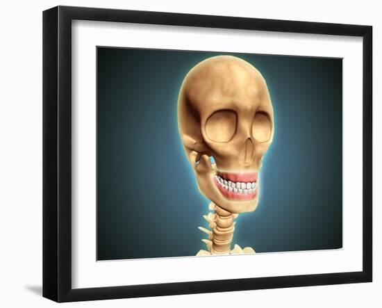 Human Skeleton Showing Teeth and Gums-null-Framed Art Print