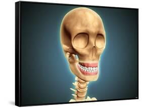 Human Skeleton Showing Teeth and Gums-null-Framed Stretched Canvas