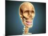 Human Skeleton Showing Teeth and Gums-null-Mounted Art Print