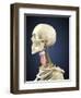 Human Skeleton with Nervous System and Larynx Organ of Neck-Stocktrek Images-Framed Art Print