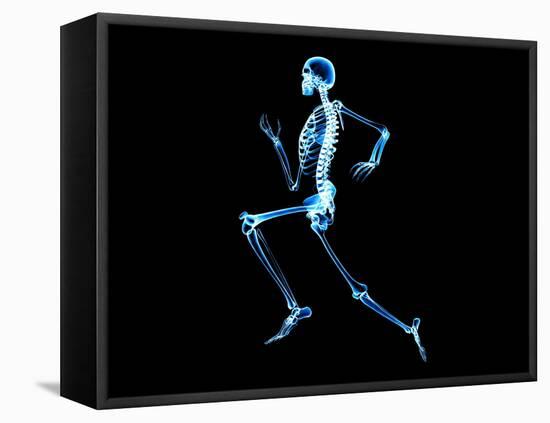 Human Skeleton-PASIEKA-Framed Stretched Canvas