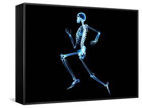 Human Skeleton-PASIEKA-Framed Stretched Canvas