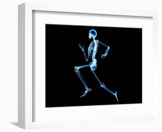 Human Skeleton-PASIEKA-Framed Premium Photographic Print