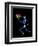 Human Skeleton-PASIEKA-Framed Premium Photographic Print