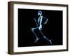 Human Skeleton-PASIEKA-Framed Photographic Print