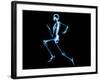 Human Skeleton-PASIEKA-Framed Photographic Print
