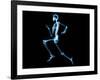 Human Skeleton-PASIEKA-Framed Photographic Print