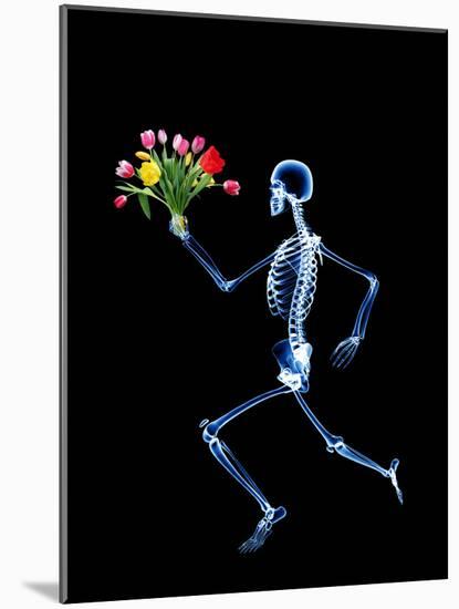Human Skeleton-PASIEKA-Mounted Photographic Print